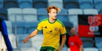 ilves.jpg