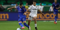 palmeiras-santos.jpg