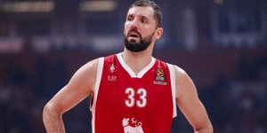 nikola-mirotic.jpg