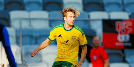 ilves.jpg