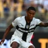 Serie A: Σκοράρουν για το Over Πάρμα και Τορίνο!