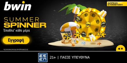 bwin summer spinner.jpg