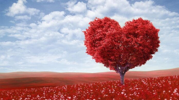 δέντρο της αγάπης, Ημέρα των Ερωτευμένων, Του Αγίου Βαλεντίνου